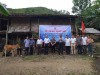 Hội Nông dân tỉnh trao bò cho hộ Lăng Văn Thương, xã Trung Phúc, huyện Trùng Khánh