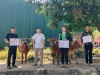 Đồng chí Mông Hải Châu, Chủ tịch Hội Nông dân huyện trao bò cho 03 hội viên có hoàn cảnh khó khăn