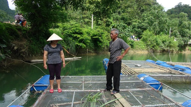 Ông Bế Thành Đông hướng dẫn Hội viên Nông dân xóm Pác Đa, xã Độc Lập, huyện Quảng Uyên về kỹ thuật nuôi cá lồng.