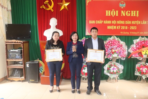 Đồng chí Mạc Thanh Tâm, Phó Chủ tịch Hội Nông dân tỉnh trao Bằng khen cho các đơn vị có thành tích xuất sắc trong công tác Hội và phòng trào nông dân năm 2019
