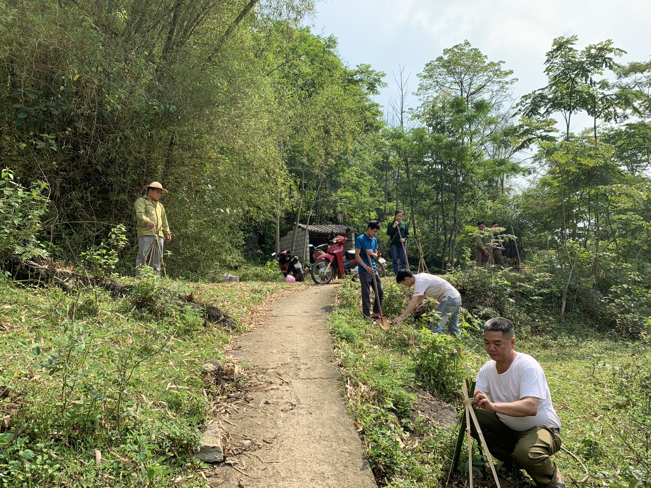 Hội viên nông dân Thị trấn Trùng Khánh tham gia tổ chức trồng cây Bạch đào