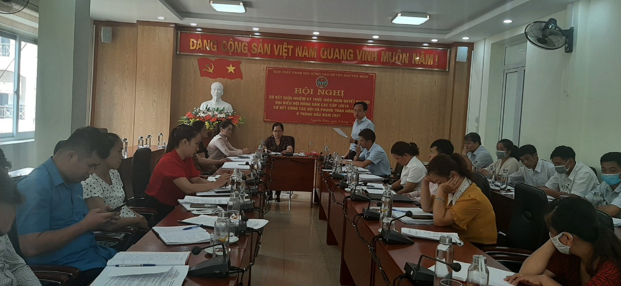 Đồng chí Dương Hùng Dũng Chủ tịch Hội Nông dân tỉnh phát biểu chỉ đạo hội nghị