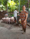 Hội viên nông dân phấn khởi khi được xuất lứa lợn đầu tiên khi dịch tả lợn Châu Phi đi qua.
