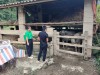 Thành viên Ban điều hành quỹ HTND kiểm tra trực tiếp tại các hộ vay vốn