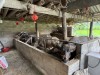 KIỂM TRA TÌNH HÌNH SỬ DỤNG VỐN QUỸ HỖ TRỢ NÔNG DÂN  DỰ ÁN CHĂN NUÔI TRÂU VỖ BÉO TẠI XÃ HẠNH PHÚC