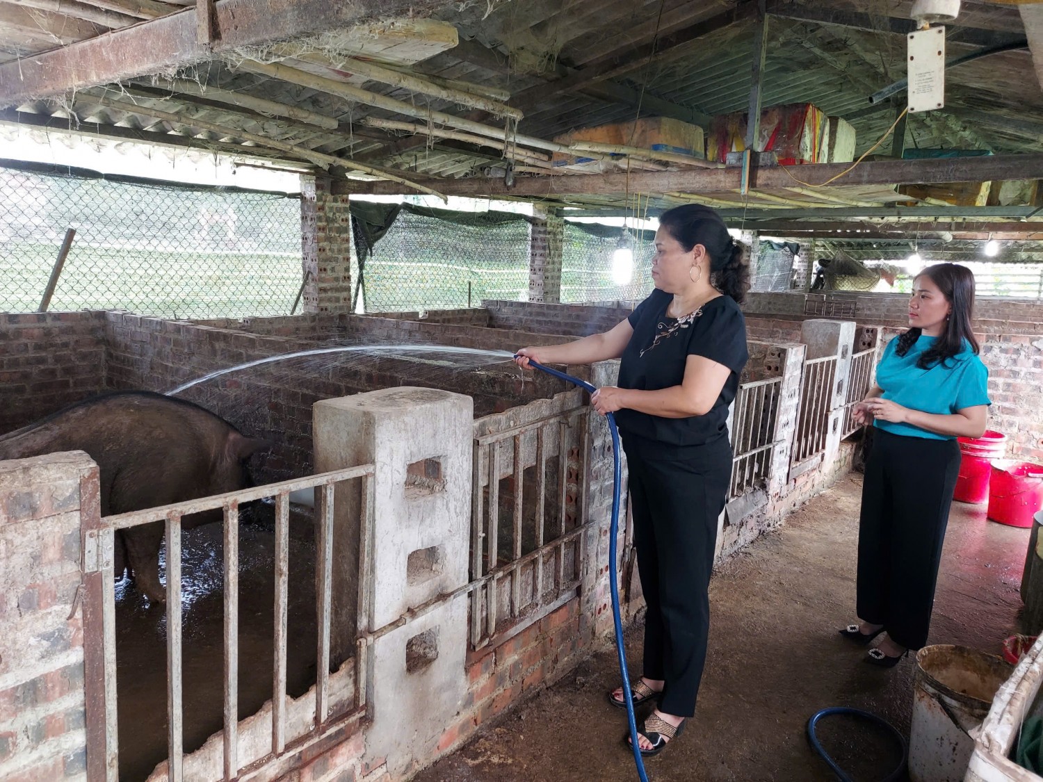 HỘI NÔNG DÂN TỈNH CAO BẰNG ĐẨY MẠNH PHONG TRÀO “ NÔNG DÂN THI ĐUA SẢN XUẤT, KINH DOANH GIỎI, ĐOÀN KẾT GIÚP NHAU LÀM GIÀU VÀ GIẢM NGHÈO BỀN VỮNG”