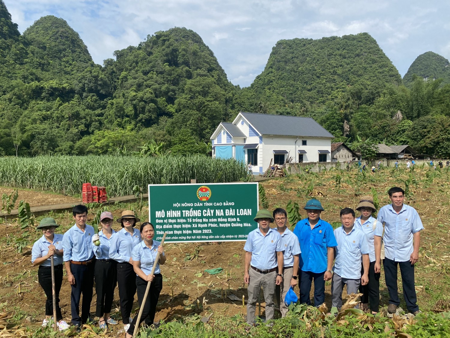 Hội Nông dân tỉnh hỗ trợ xây dựng mô hình trồng na Đài Loan tại cơ sở