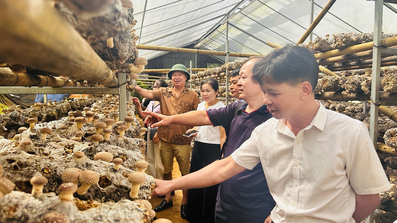 Nông dân Cao Bằng trong phát triển nông nghiệp bền vững