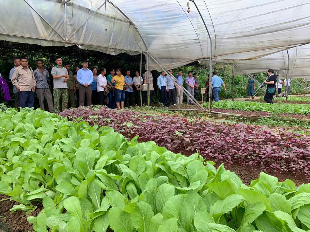 HỘI NÔNG DÂN TỈNH CAO BẰNG ĐỒNG HÀNH CÙNG NÔNG DÂN PHÁT TRIỂN KINH TẾ NÔNG THÔN BỀN VỮNG