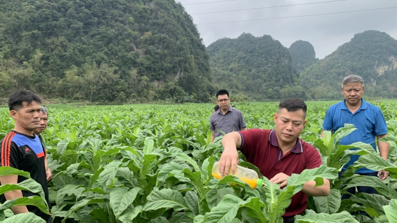 Hội Nông dân tỉnh đẩy mạnh phong trào thi đua, tạo động lực phát triển nông nghiệp và nâng cao đời sống nông dân